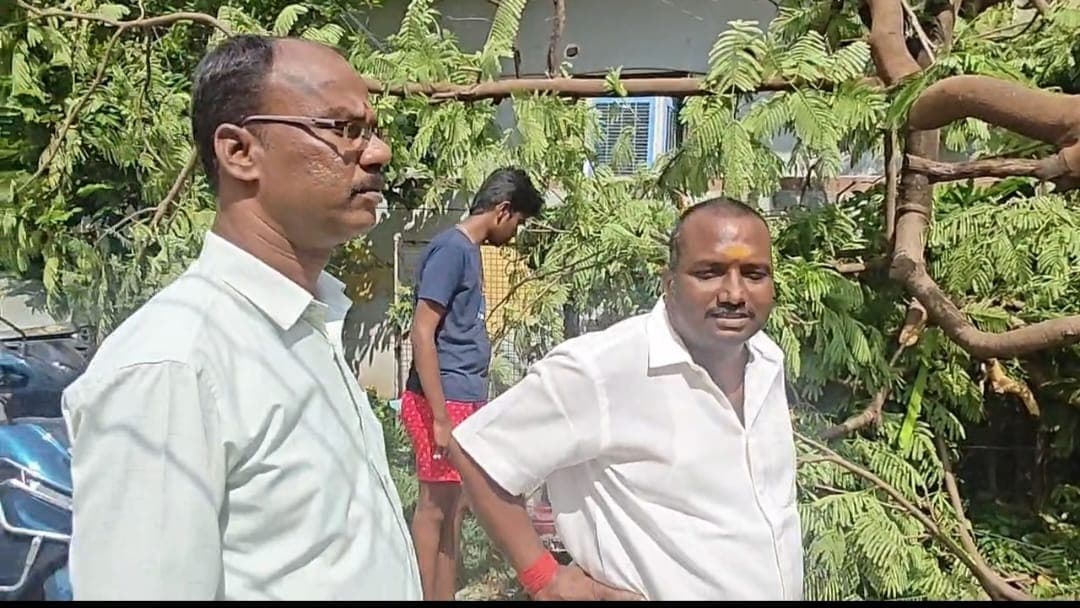 విద్యుత్ స్తంభంపై కూలిన చెట్టు తొలగింపు